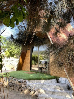 CasaAlpina: live a great experience in a tinyhouse